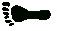 Footprint